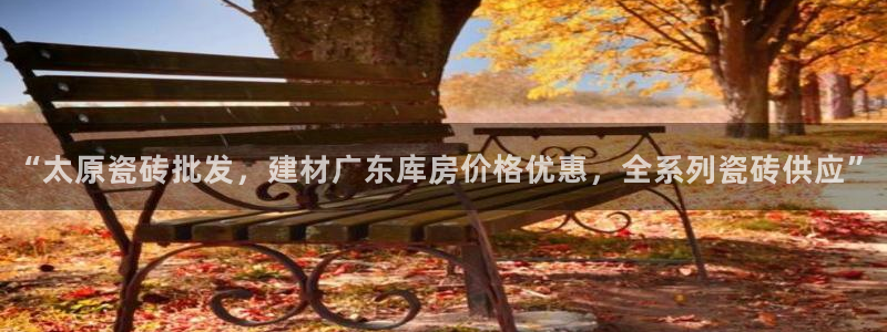 杏鑫3主管