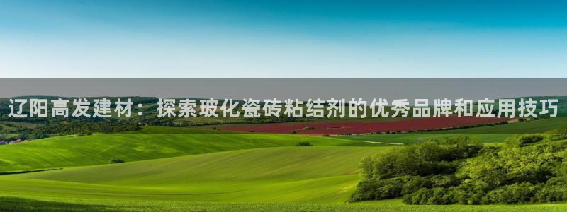 杏鑫官网最新信息新闻