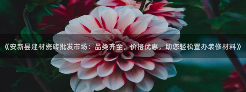 杏鑫平台官方网站