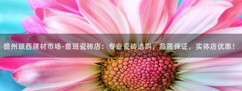 杏鑫平台招商电话是多少