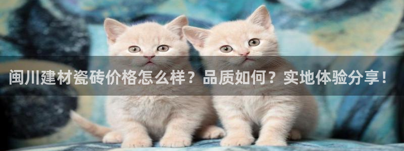 杏鑫平台广7O777