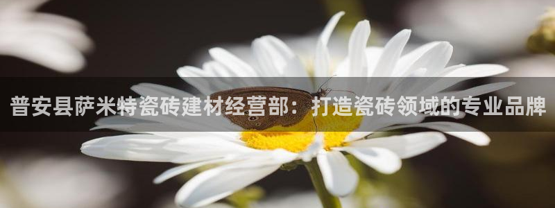 杏鑫平台代理怎么样啊