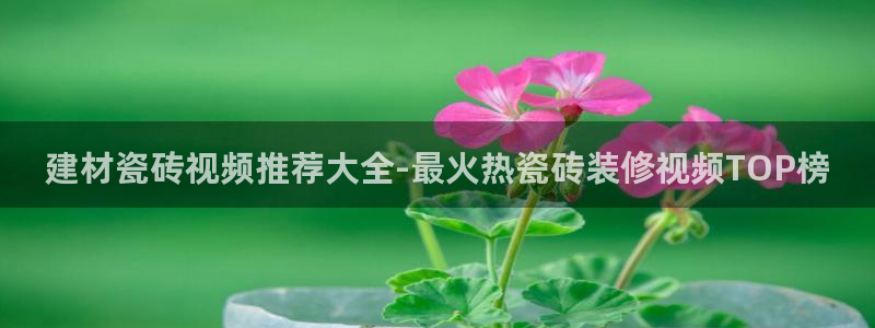 杏鑫平台招商电话号码查询