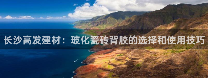 杏鑫官网最新信息新闻