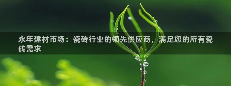 杏鑫平台登录
