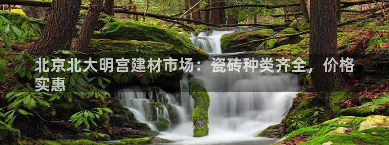杏鑫平台代理注册流程视频
