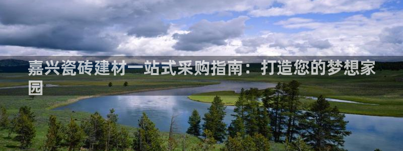 杏鑫有亏损返点吗