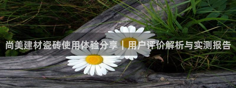 杏鑫平台代理怎么样可靠吗