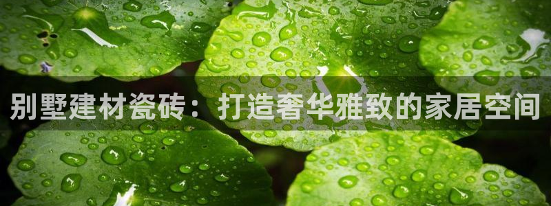 杏鑫平台念7O777