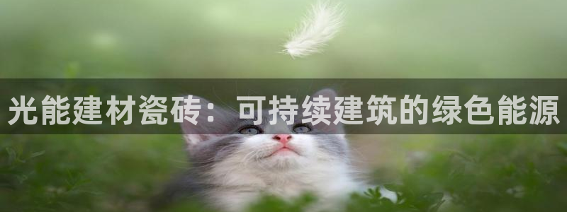 杏鑫平台怎么样黑钱吗安全吗可靠吗